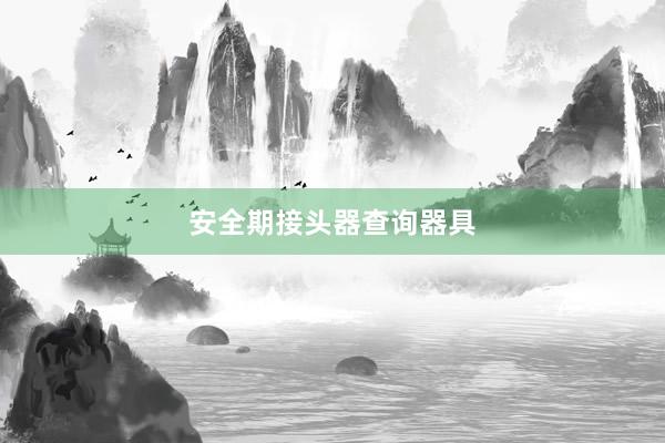 安全期接头器查询器具