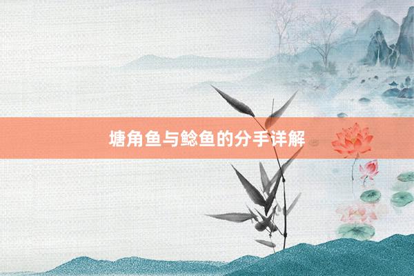 塘角鱼与鲶鱼的分手详解