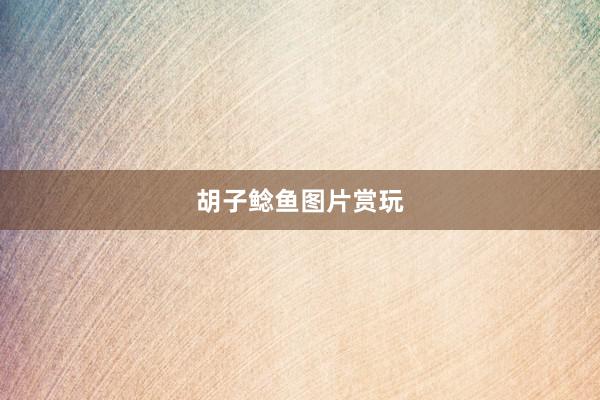 胡子鲶鱼图片赏玩